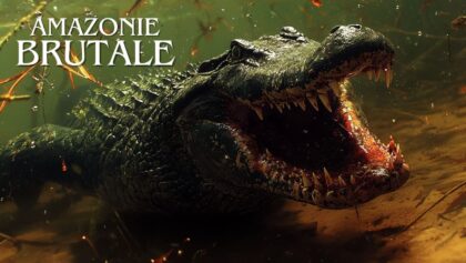 Les prédateurs de la forêt en Amazonie - documentaire