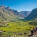 Voyage nature en famille : oasis et montagnes