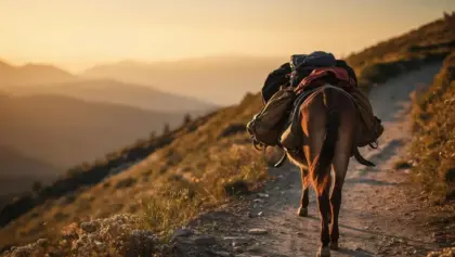 Le retour de la rando en âne : pourquoi ça séduit les puristes ?