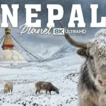 Népal sauvage : le territoire des prédateurs d’exception | Documentaire animalier