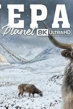 Népal sauvage : le territoire des prédateurs d’exception | Documentaire animalier