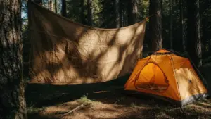 Pourquoi le tarp est-il souvent préférable à une tente ?