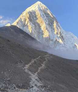 586793033 2633504500357226 4292656959222994974 n