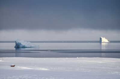 groenland iceberg groenland iceberg