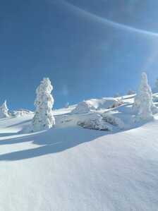 FB IMG 1766007638011