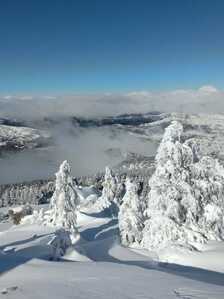 FB IMG 1766007633237