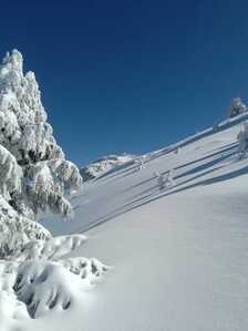 FB IMG 1766007627284