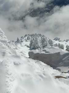 FB IMG 1766007606797