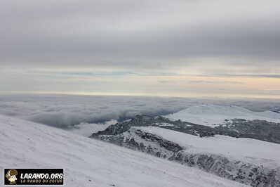 IMG 5403 (1)