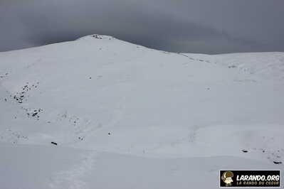 IMG 5430 (1)
