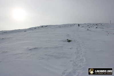 IMG 5432 (1)