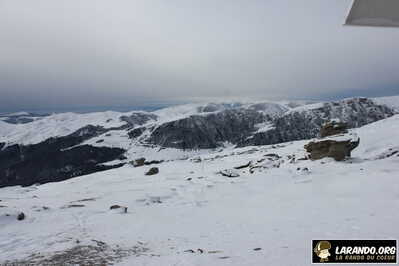IMG 5441 (1)