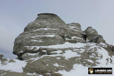 IMG 5447 (1)