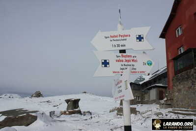 IMG 5454 (1)